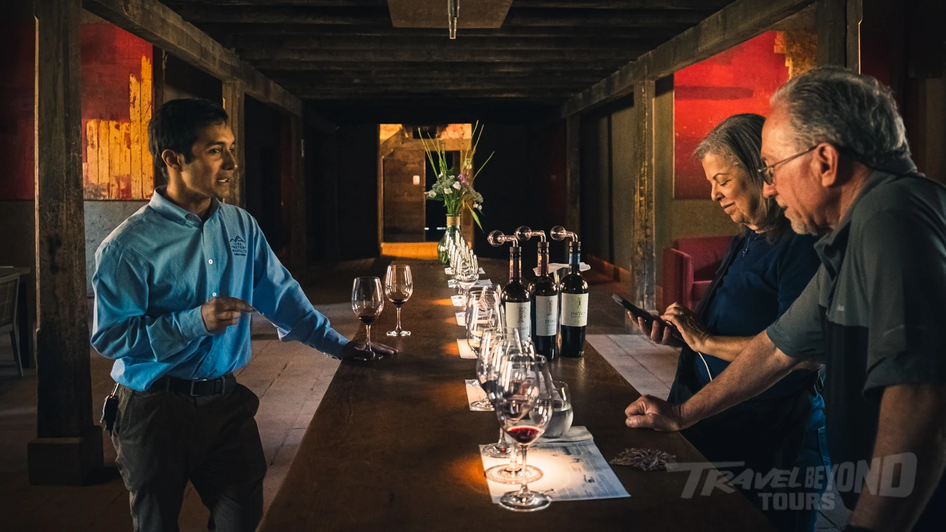 Custom journeys Chile Colchagua Valley wine tasting
